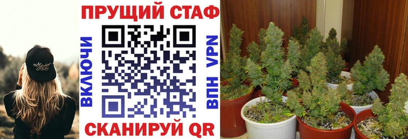 Псилоцибиновые грибы Рыбинск