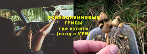 прущий лед Алексеевка