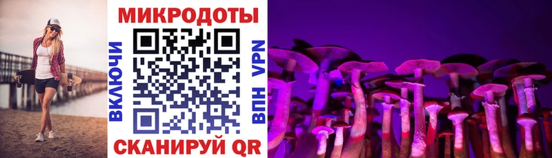 Галлюциногенные грибы MAGIC MUSHROOMS  купить наркотики цена  Рыбинск 